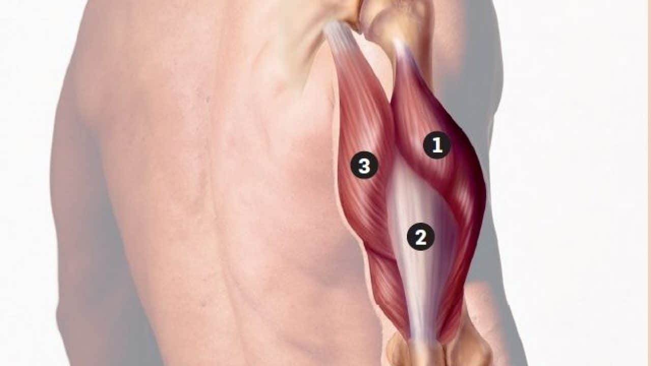 imagen de protesis de Tríceps clinica Clínica Medivás madrid