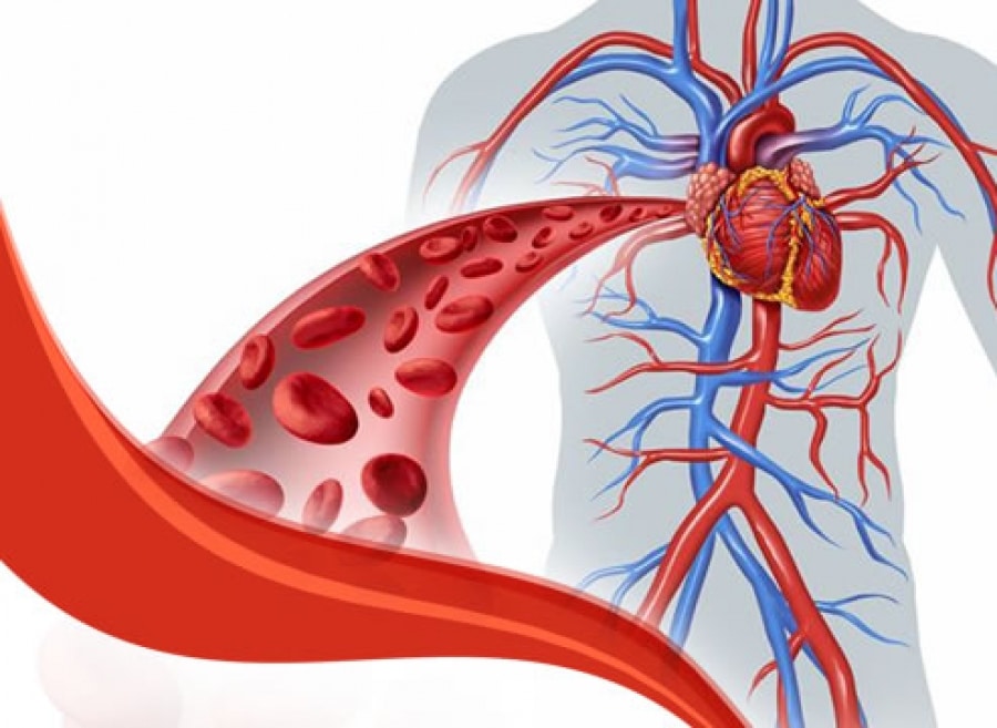 imagen de angiologia cirugia vascular y varices